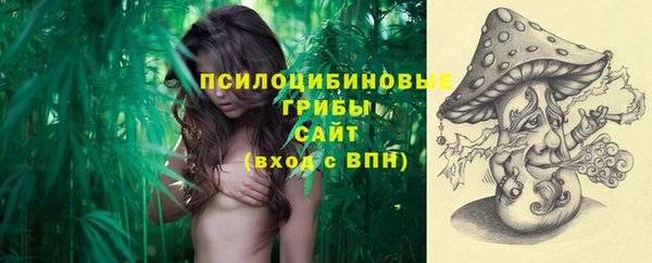 mix Аркадак