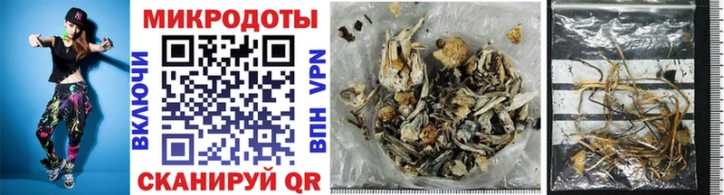 Галлюциногенные грибы Psilocybe  сколько стоит  Ужур 